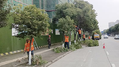 綿陽達坤園林綠化有限公司